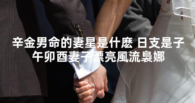 辛金男命的妻星是什麽 日支是子午卯酉妻子漂亮風流裊娜